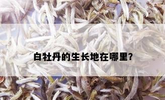 白牡丹的生长地在哪里？