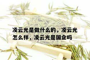 凌云光是做什么的，凌云光怎么样，凌云光是国企吗