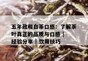 五年政和白茶口感：了解茶叶真正的品质与口感 | 经验分享 | 饮用技巧