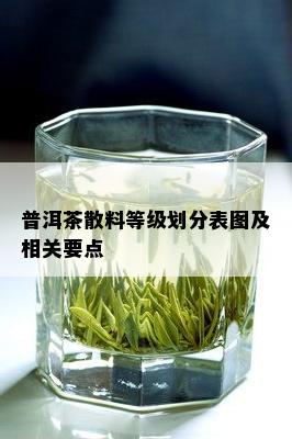 普洱茶散料等级划分表图及相关要点