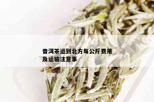 普洱茶运到北方每公斤费用及运输注意事