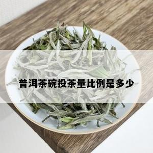 普洱茶碗投茶量比例是多少