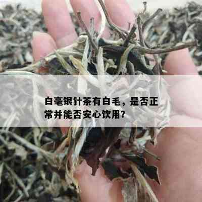 白毫银针茶有白毛，是否正常并能否安心饮用？