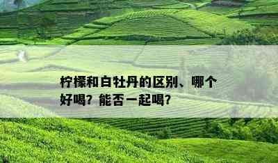 柠檬和白牡丹的区别、哪个好喝？能否一起喝？