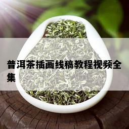 普洱茶插画线稿教程视频全集