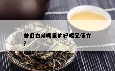 普洱白茶哪里的好喝又便宜？