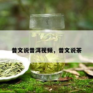 普文说普洱视频，普文说茶