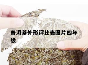 普洱茶外形评比表图片四年级