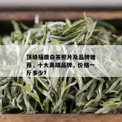 顶级福鼎白茶照片及品牌推荐，十大高端品牌，价格一斤多少？