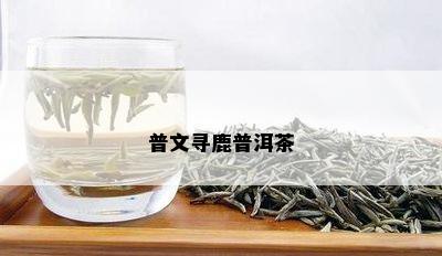 普文寻鹿普洱茶