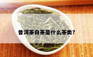 普洱茶白茶是什么茶类?