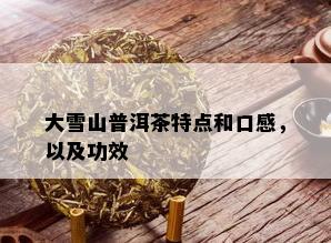 大雪山普洱茶特点和口感，以及功效