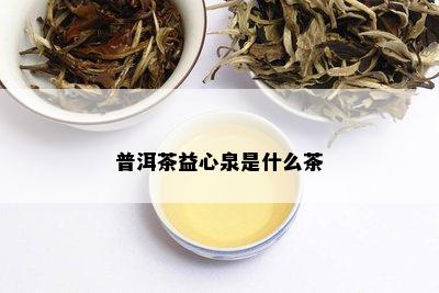 普洱茶益心泉是什么茶