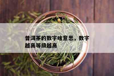 普洱茶的数字啥意思，数字越高等级越高