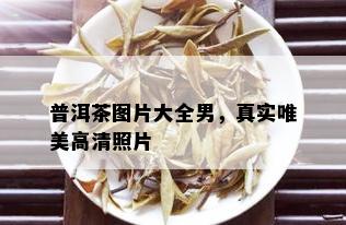 普洱茶图片大全男，真实唯美高清照片