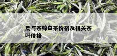 鹿与茶鲸白茶价格及相关茶叶价格