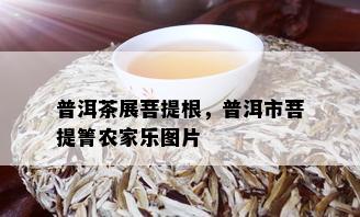 普洱茶展菩提根，普洱市菩提箐农家乐图片