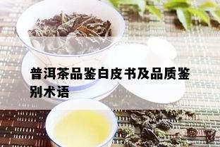 普洱茶品鉴白皮书及品质鉴别术语