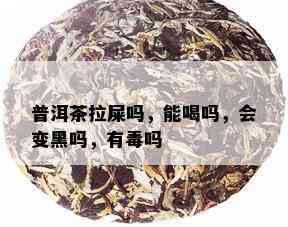 普洱茶拉屎吗，能喝吗，会变黑吗，有吗