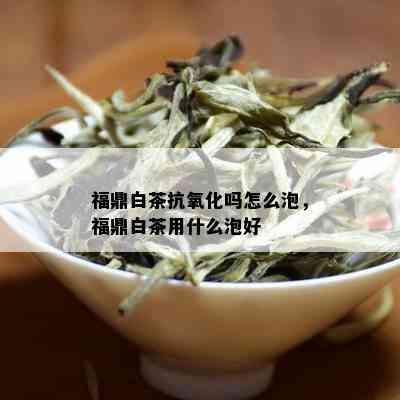 福鼎白茶抗氧化吗怎么泡，福鼎白茶用什么泡好