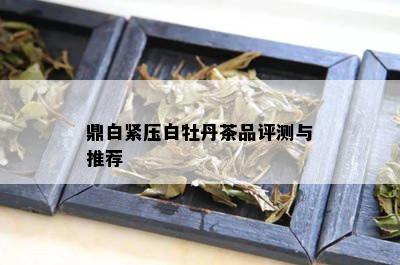 鼎白紧压白牡丹茶品评测与推荐