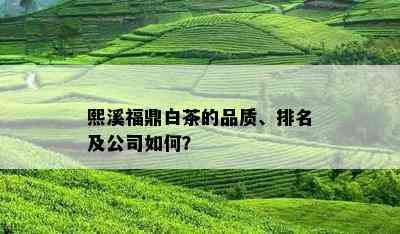 熙溪福鼎白茶的品质、排名及公司如何？