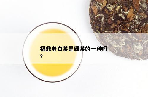 福鼎老白茶是绿茶的一种吗？