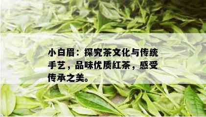 小白眉：探究茶文化与传统手艺，品味优质红茶，感受传承之美。