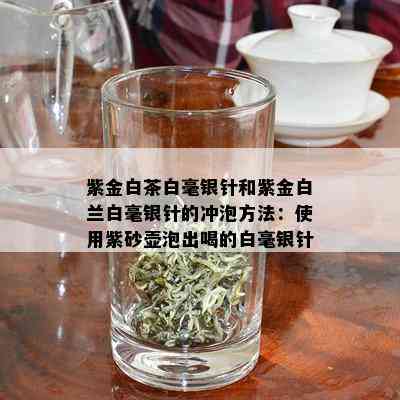 紫金白茶白毫银针和紫金白兰白毫银针的冲泡方法：使用紫砂壶泡出喝的白毫银针