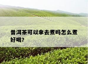 普洱茶可以拿去煮吗怎么煮好喝？