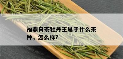 福鼎白茶牡丹王属于什么茶种，怎么样？