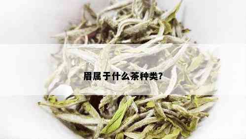 眉属于什么茶种类？