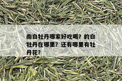 南白牡丹哪家好吃喝？的白牡丹在哪里？还有哪里有牡丹花？