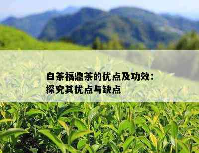 白茶福鼎茶的优点及功效：探究其优点与缺点