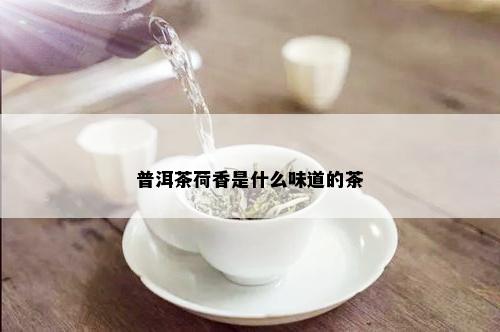 普洱茶荷香是什么味道的茶