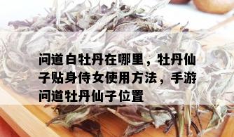 问道白牡丹在哪里，牡丹仙子贴身侍女使用方法，手游问道牡丹仙子位置