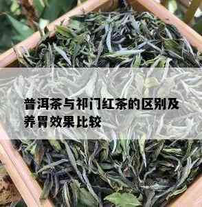 普洱茶与祁门红茶的区别及养胃效果比较