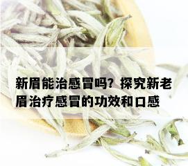 新眉能治感冒吗？探究新老眉治疗感冒的功效和口感