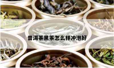 普洱茶黑茶怎么样冲泡好