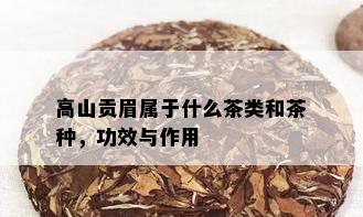 高山贡眉属于什么茶类和茶种，功效与作用