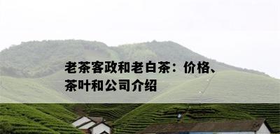 老茶客政和老白茶：价格、茶叶和公司介绍