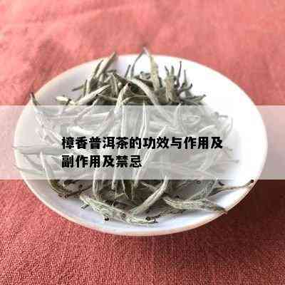 樟香普洱茶的功效与作用及副作用及禁忌