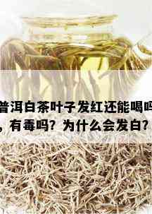 普洱白茶叶子发红还能喝吗，有吗？为什么会发白？