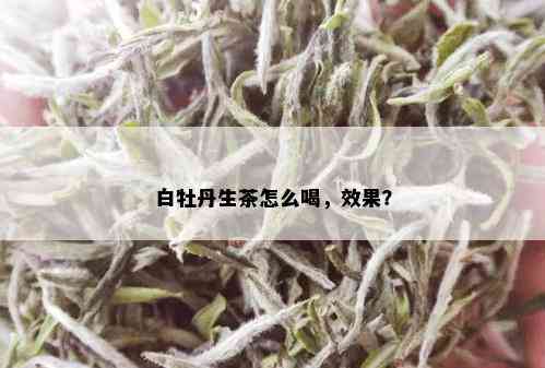 白牡丹生茶怎么喝，效果？