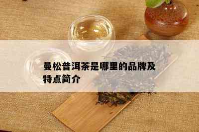 曼松普洱茶是哪里的品牌及特点简介