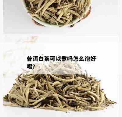 普洱白茶可以煮吗怎么泡好喝？