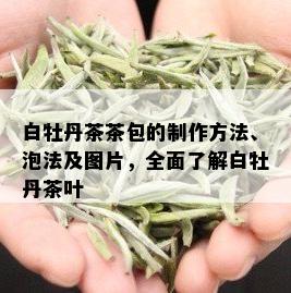 白牡丹茶茶包的制作方法、泡法及图片，全面了解白牡丹茶叶