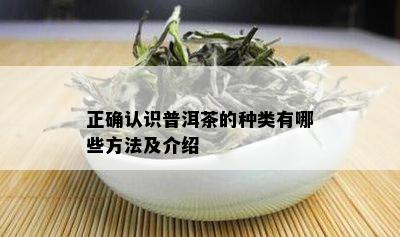 正确认识普洱茶的种类有哪些方法及介绍