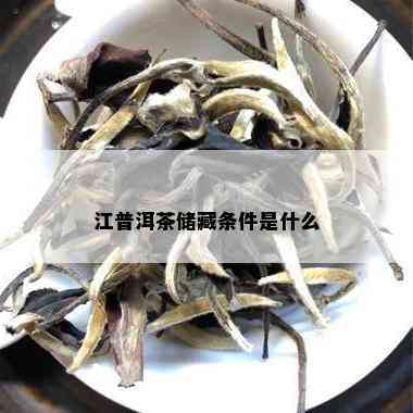 江普洱茶储藏条件是什么