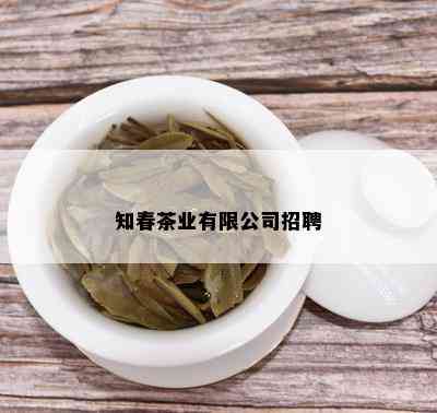 知春茶业有限公司招聘